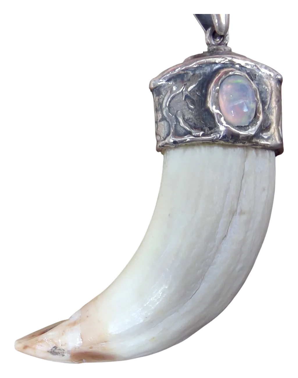 Dije de colmillo con capuchón de plata texturizada y un ópalo